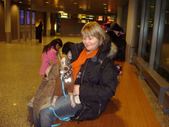 Enlarge photo 78
