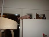 Enlarge photo 73