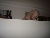 Enlarge photo 72