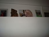 Enlarge photo 71