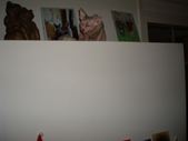 Enlarge photo 70
