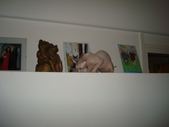 Enlarge photo 69
