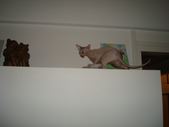 Enlarge photo 68