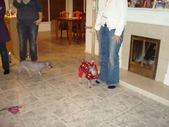 Enlarge photo 15