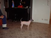 Enlarge photo 10