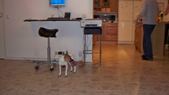 Enlarge photo 49
