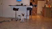 Enlarge photo 46