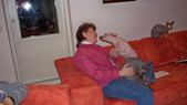 Enlarge photo 43