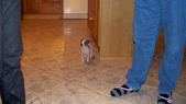 Enlarge photo 29