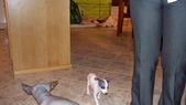 Enlarge photo 28