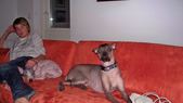 Enlarge photo 16