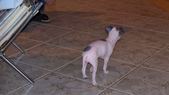 Enlarge photo 10