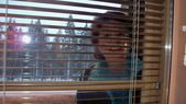 Enlarge photo 169