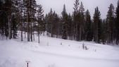 Enlarge photo 158