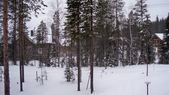 Enlarge photo 155