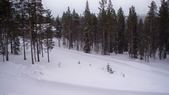 Enlarge photo 141