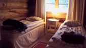 Enlarge photo 130