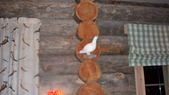 Enlarge photo 86