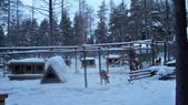 Enlarge photo 61