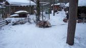 Enlarge photo 62