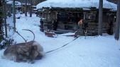 Enlarge photo 60