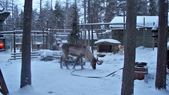 Enlarge photo 59