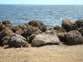 Enlarge photo 12