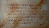 Enlarge photo 77