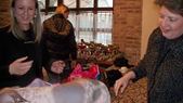 Enlarge photo 6