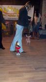 Enlarge photo 37
