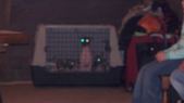 Enlarge photo 39
