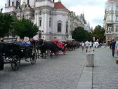 Enlarge photo 50