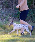 Enlarge photo 27