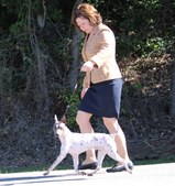 Enlarge photo 25