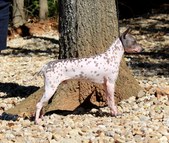Enlarge photo 24