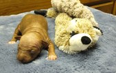 Enlarge photo 15