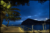 Enlarge photo 202