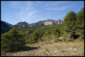 Enlarge photo 215