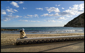 Enlarge photo 216
