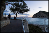 Enlarge photo 219