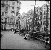 Enlarge photo 8