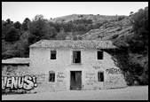 Enlarge photo 50