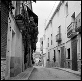Enlarge photo 59