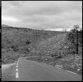 Enlarge photo 64