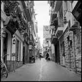 Enlarge photo 65