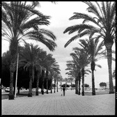 Enlarge photo 76