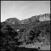 Enlarge photo 81
