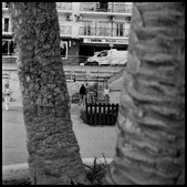 Enlarge photo 87