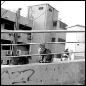 Enlarge photo 94