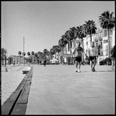 Enlarge photo 106